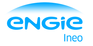 Logo INEO